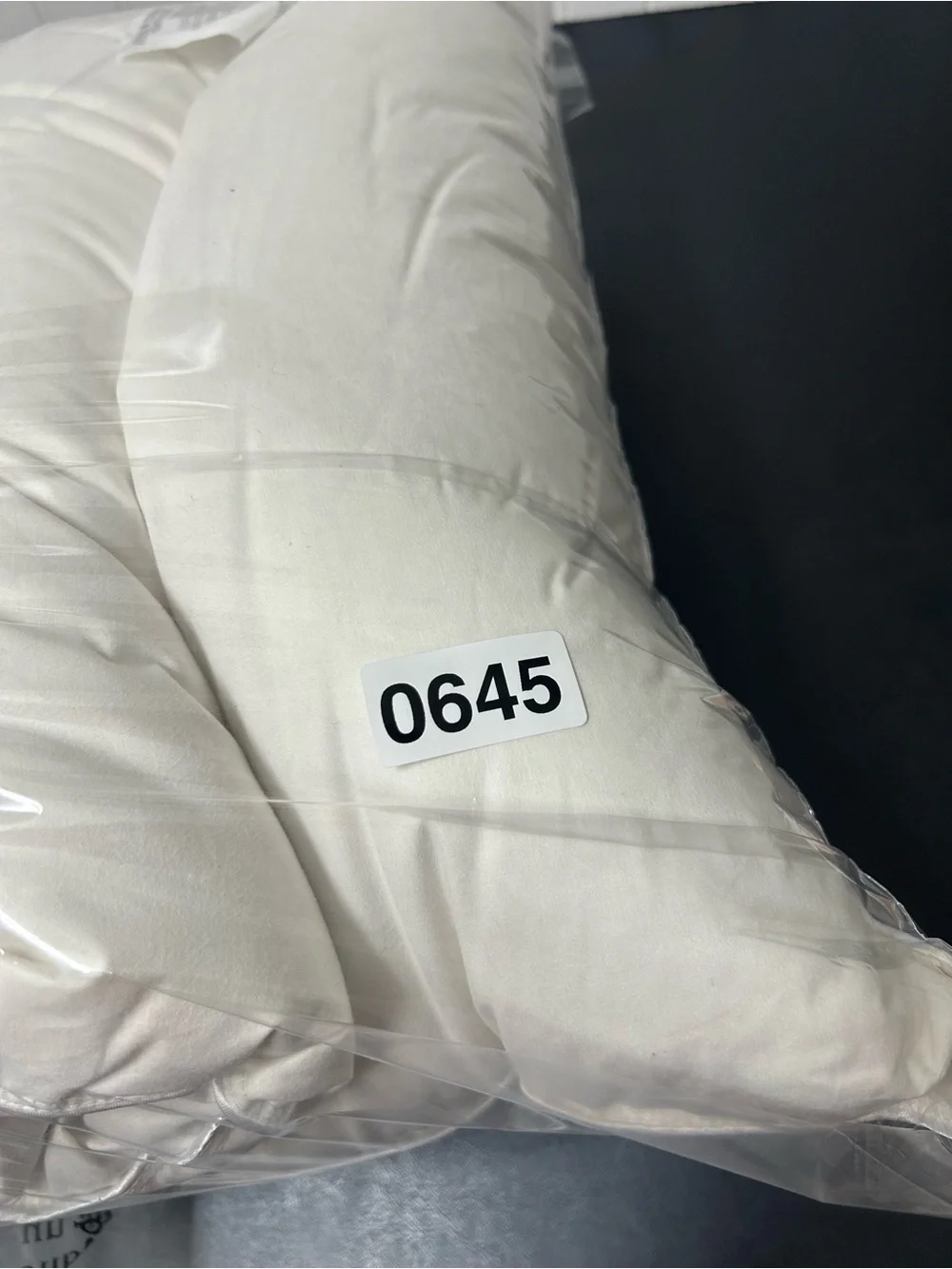 Pottery Barn Sleepsmart 37.5® Temperature Regulating Pillow Insert